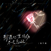 刺进心里的伤不会忘记 (Single)