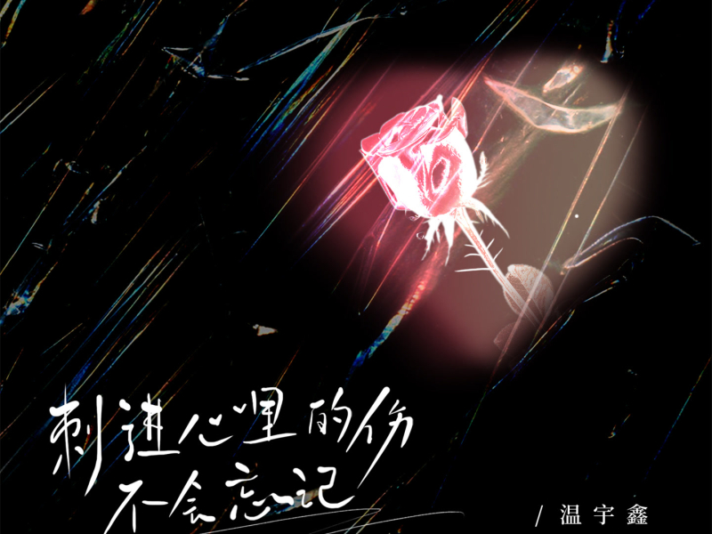 刺进心里的伤不会忘记 (Single)