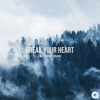 Break Your Heart (Single)