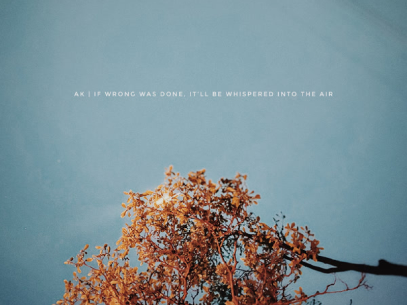 If Wrong Was Done, It'll Be Whispered Into the Air
