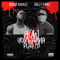 How you wanna play it? (feat. Boosie BadAzz) (Single)