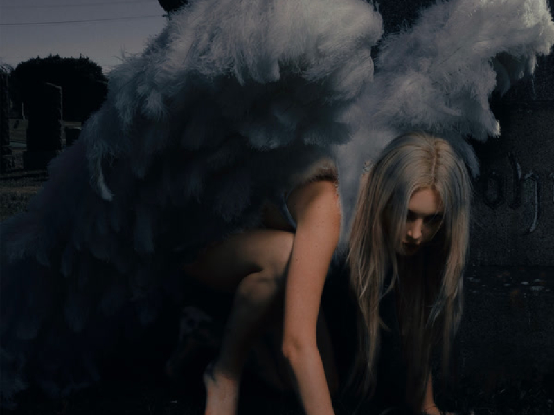 All the Saints of Notre Dame (Bass Remix) (Single)