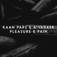 Pleasure & Pain (Single)