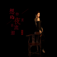 想你的夜里会流泪 (Single)