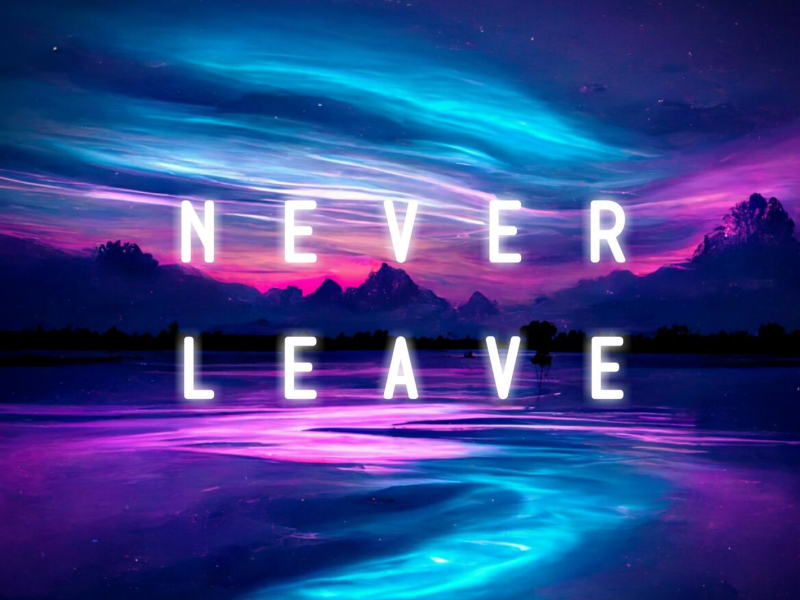 Never Leave (Single)