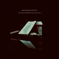 Materialistic (Single)