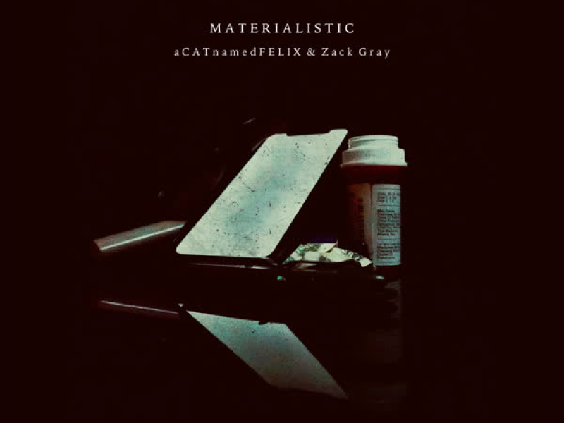 Materialistic (Single)