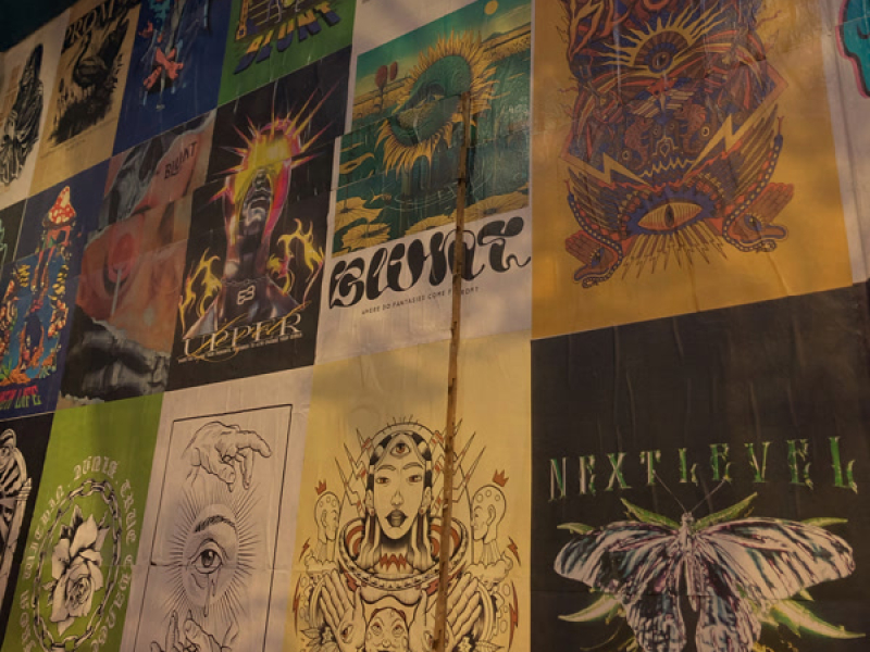 Magia no backwoods (Single)