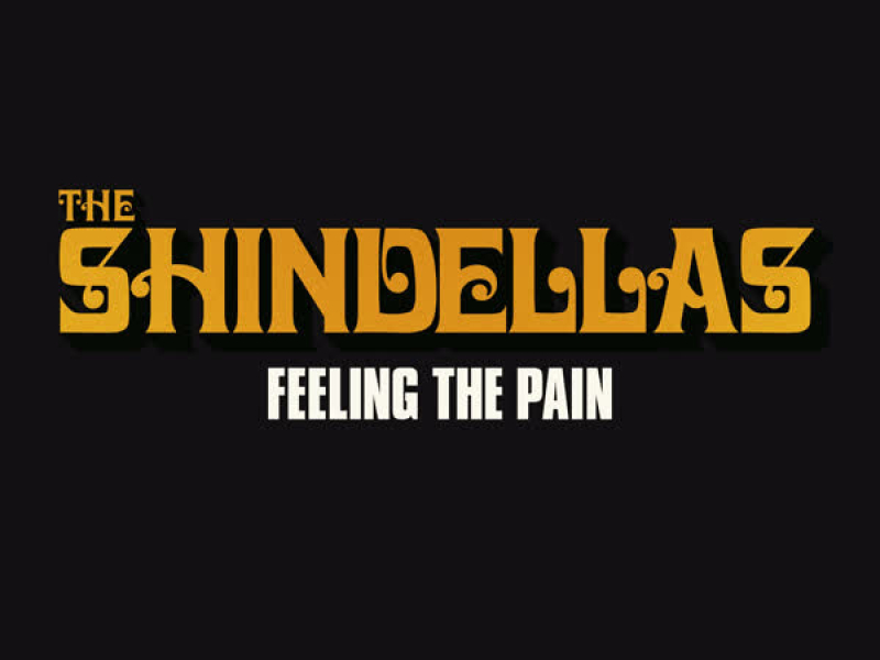 Feeling the Pain (Single)