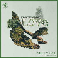 Taste Your Love (Single)