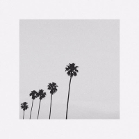 Nocturnal (Remix) (Single)