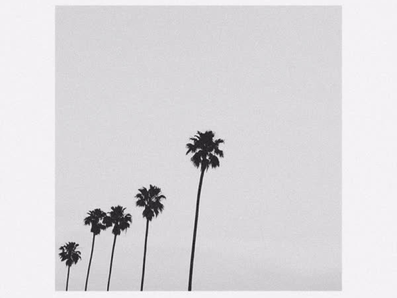 Nocturnal (Remix) (Single)