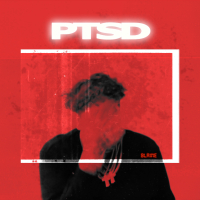 PTSD (Single)