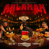 ANLAMAM (Single)