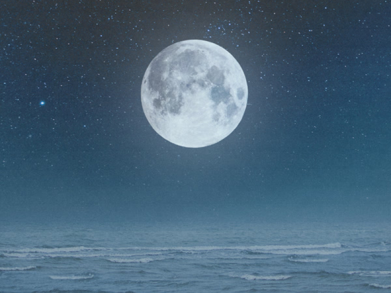 Beach Nights (Single)