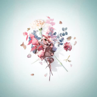 I love you even if it hurts (Single)