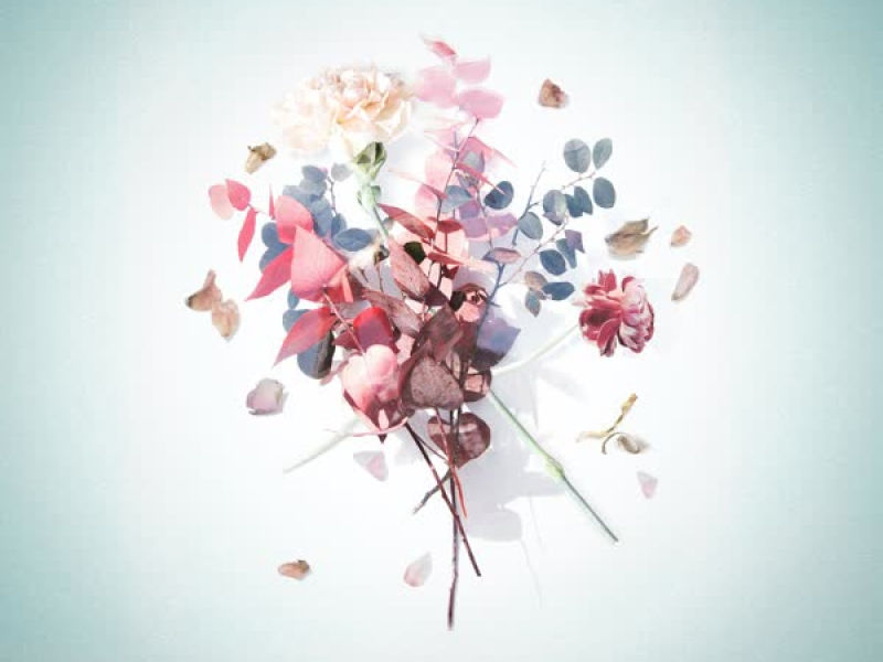 I love you even if it hurts (Single)