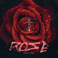 Rose (Single)