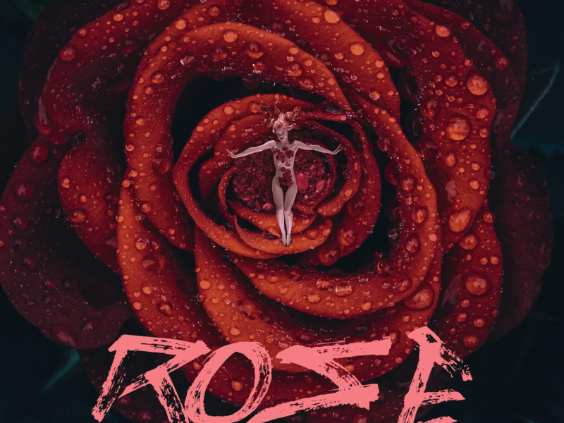 Rose (Single)