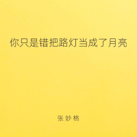 你只是错把路灯当成了月亮 (Single)