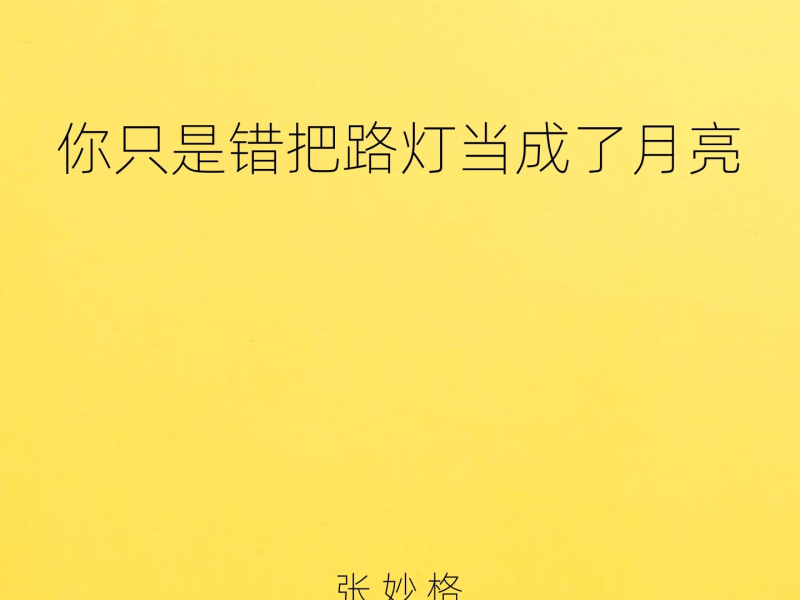 你只是错把路灯当成了月亮 (Single)