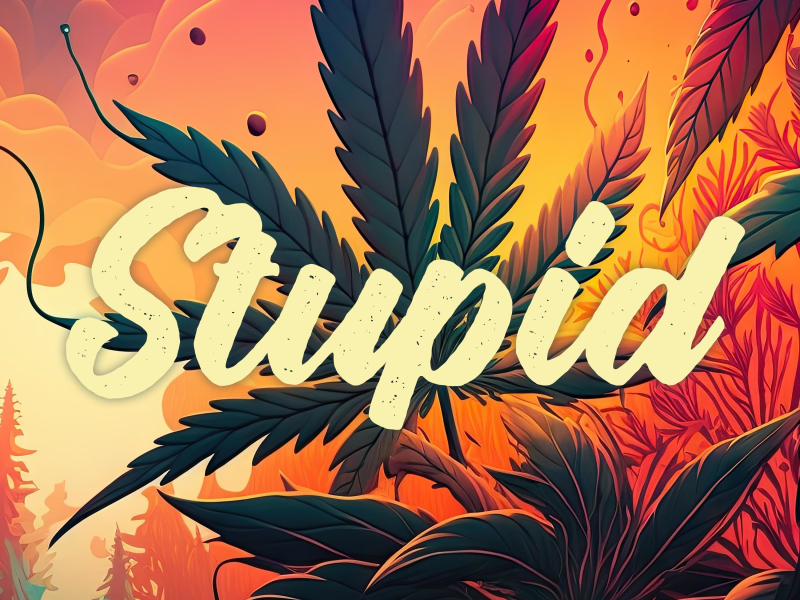 Stupid (feat. Wiz Khalifa) (Single)