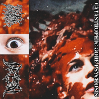 Catastrophic Gore Psychosis