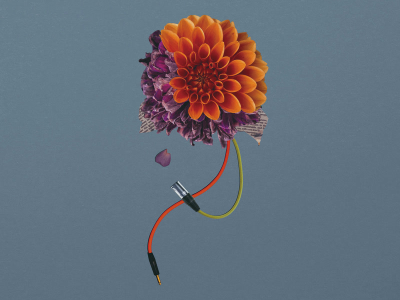 Koe / Menime (Single)