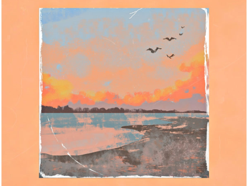 Color Palette (Single)