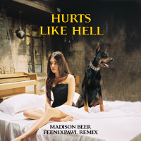 Hurts Like Hell (Feenixpawl Remix) (Single)
