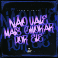 Nao vale mais chorar por ele (Single)