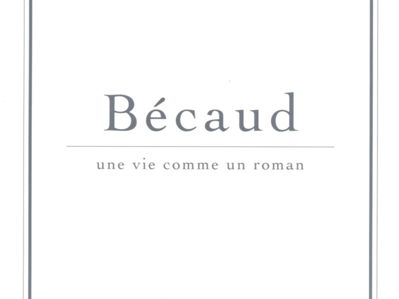 Une Vie Comme Un Roman