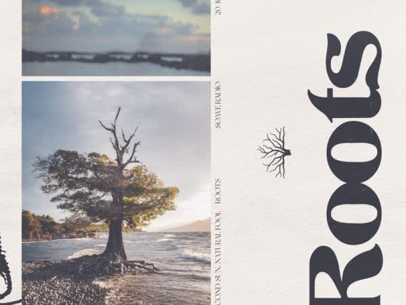 Roots (Single)