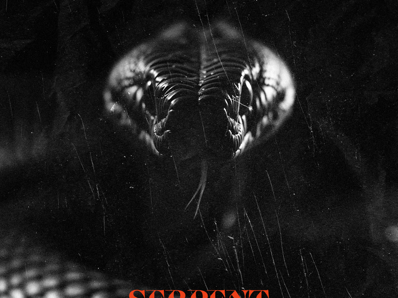 Serpent (Single)