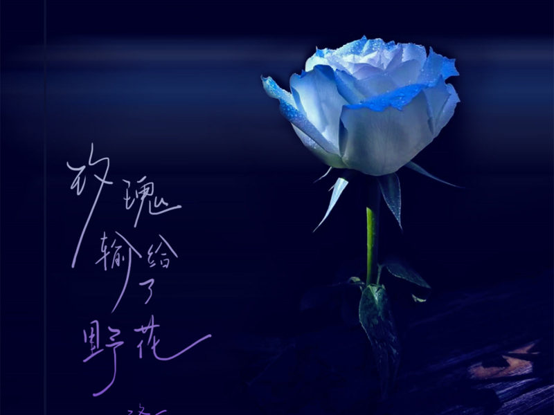 玫瑰输给了野花 (Single)