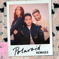 Polaroid (Remixes) (Single)