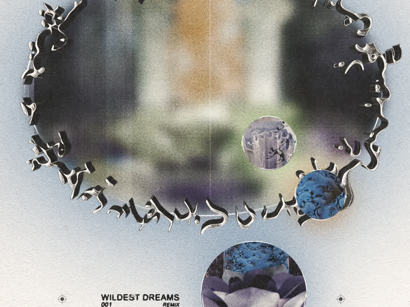 Wildest Dreams (The Sun Is Falling Remix) (Single)