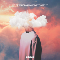 Don't Waste My Time (Single)