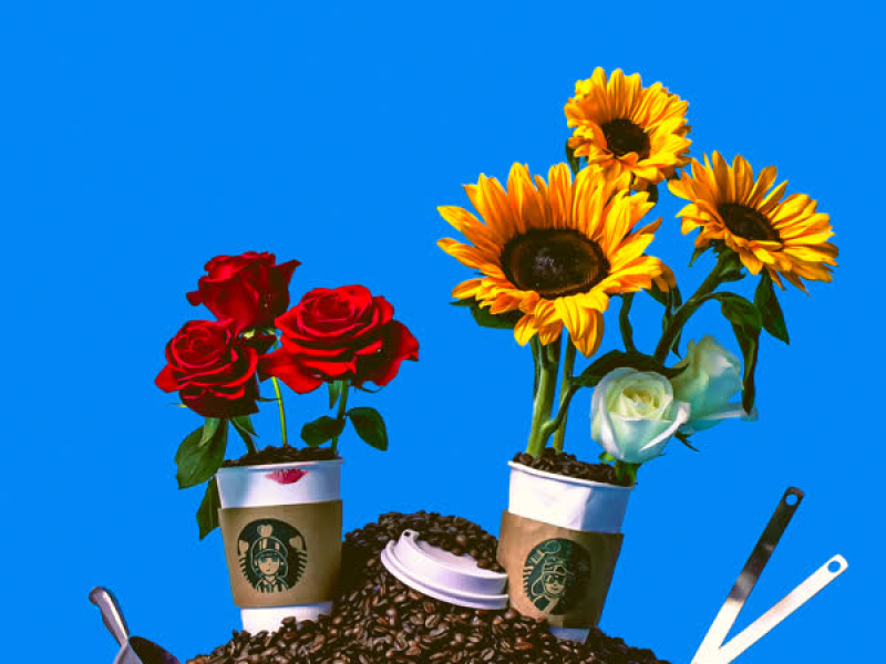 Girl At The Coffee Shop (Single)