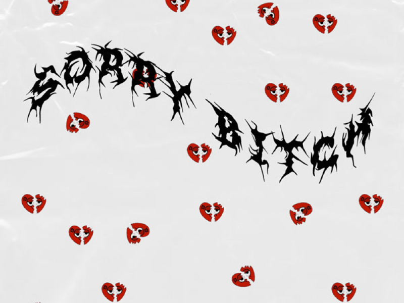 Sorry Bitch (Single)