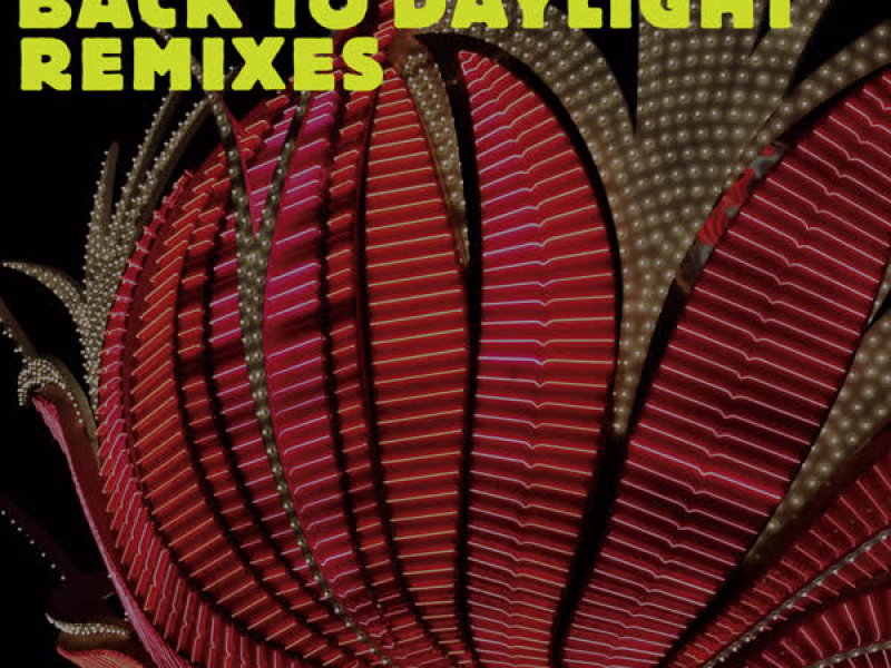 Back to Daylight (The Remixes)