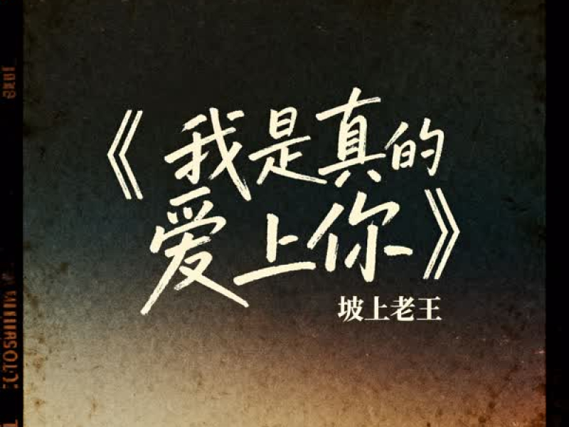 我是真的爱上你 (EP)