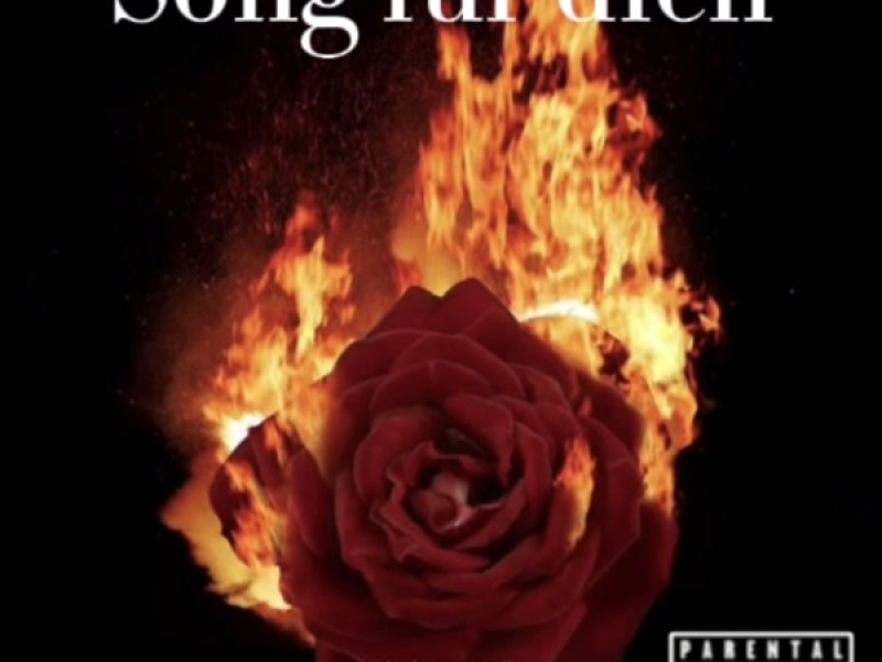 Song für dich (Single)