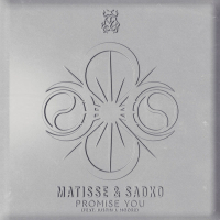 Promise You (Single)