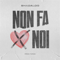 Non fa x noi (Single)