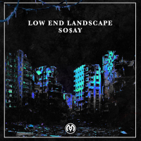 Low End Landscape