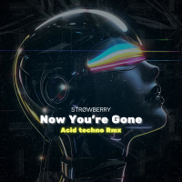 Now You're Gone (Acid Techno) (EP)