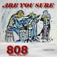 Are You Sure (Single)