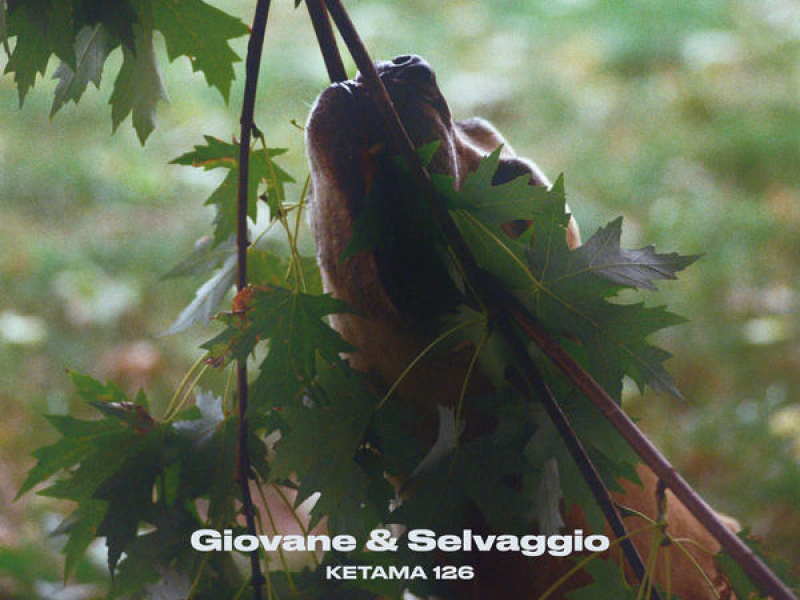 Giovane e Selvaggio