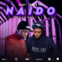 Naido (Gijima Feel) (Single)
